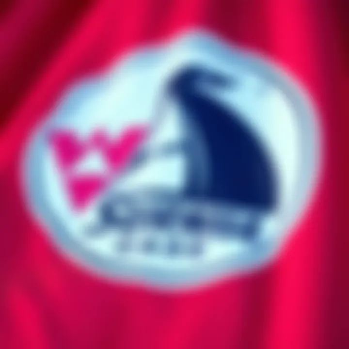 Iconic Surf Brands of the 90s Iconic surf brand logos that defined the decade's style