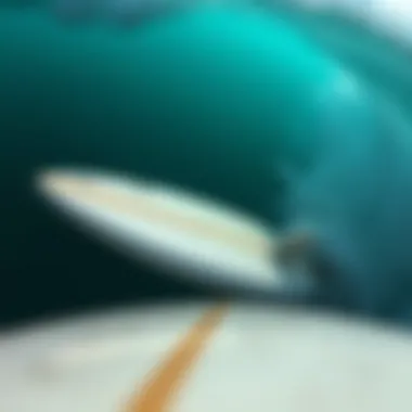 Magnificent Comprehensive Guide to Affordable Surfboards