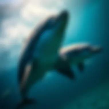 Magnificent Dolphins and Sharks: An In-Depth Exploration of Marine Intelligence and Ecosystem Dynamics Magnificent Dolphins and Sharks: An In-Depth Exploration of Marine Intelligence and Ecosystem Dynamics