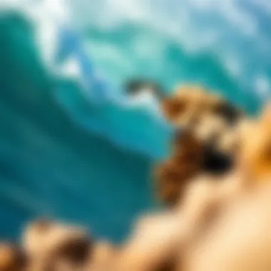 Magnificent Exploring Coral Cuts: Techniques, Effects, and Environmental Considerations Magnificent Exploring Coral Cuts: Techniques, Effects, and Environmental Considerations