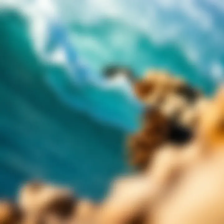 Magnificent Exploring Coral Cuts: Techniques, Effects, and Environmental Considerations Magnificent Exploring Coral Cuts: Techniques, Effects, and Environmental Considerations