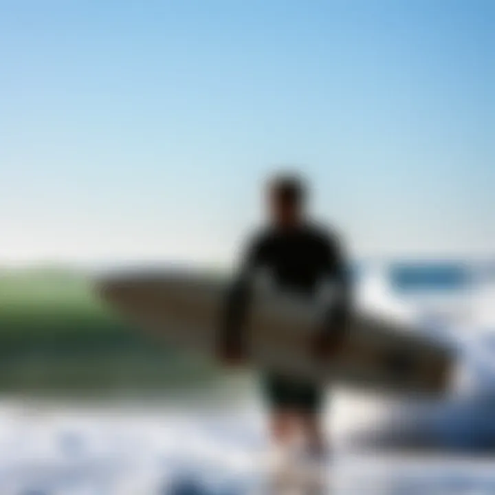 Magnificent Exploring the Best Surf Beaches in San Diego