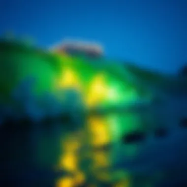 Magnificent The Mystique of Bioluminescent Phytoplankton: Unveiling the Intricacies Magnificent The Mystique of Bioluminescent Phytoplankton: Unveiling the Intricacies