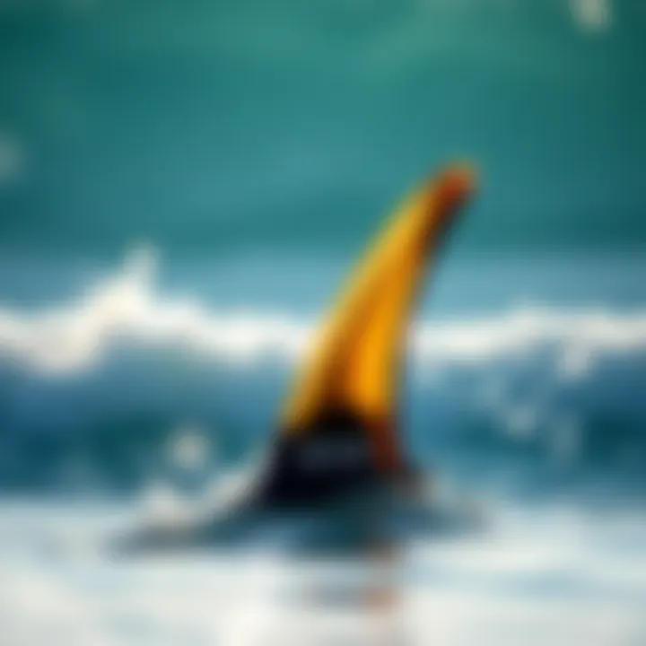 Magnificent Understanding Swimming Fin Sizes: An In-Depth Analysis