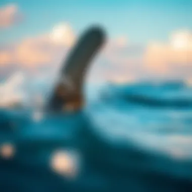 Magnificent Understanding the Dynamics of ERS4 Fins in Surfboarding