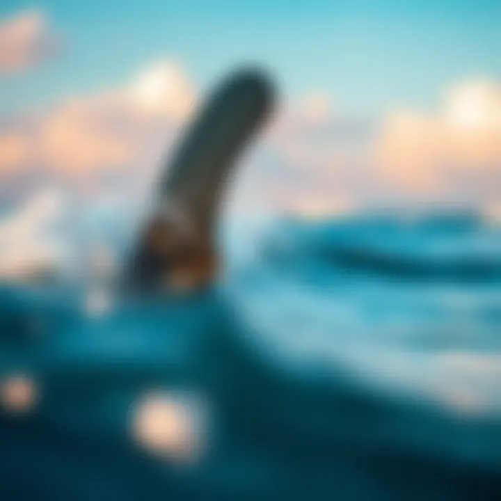 Magnificent Understanding the Dynamics of ERS4 Fins in Surfboarding
