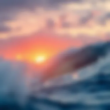 Notable A Comprehensive Exploration of Surfline Zuma