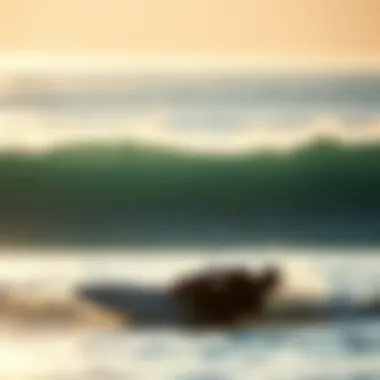 An Examination of Surfing Companies: Dynamics and Innovations Summary An Examination of Surfing Companies: Dynamics and Innovations Summary