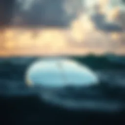 An In-Depth Analysis of the SB6141 Surfboard Specifications Introduction