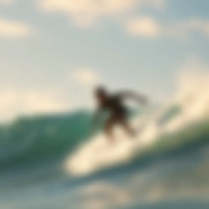 An In-Depth Exploration of Skurf Boards: Crafting the Future of Water Sports Summary
