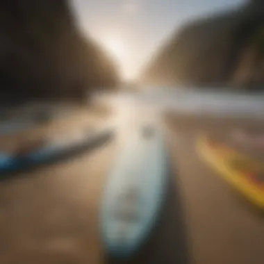 Variety of paddle boards showcasing diversity in length