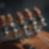 Baritone Ukulele Tuning Pegs Close-Up