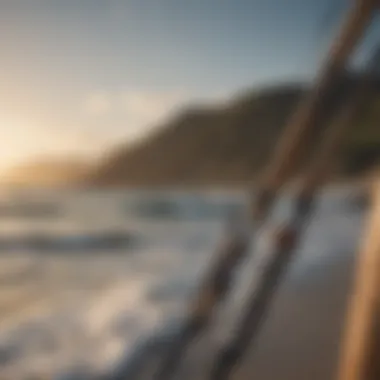 Artistic shot of top surf fishing rods against ocean backdrop