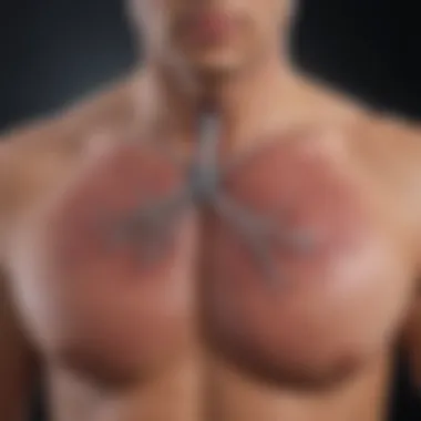 Visual representation of air sacs in the lungs expanding during inhalation