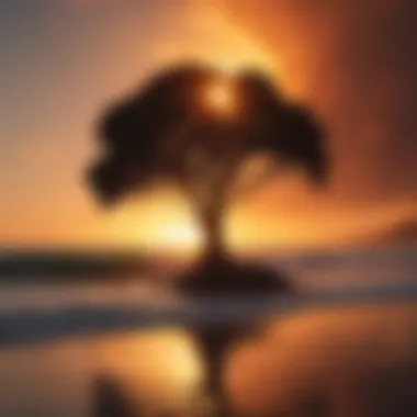 Silhouette of a lone tree against the backdrop of a fiery sunrise