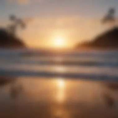 Stunning sunset at a surfer's paradise beach