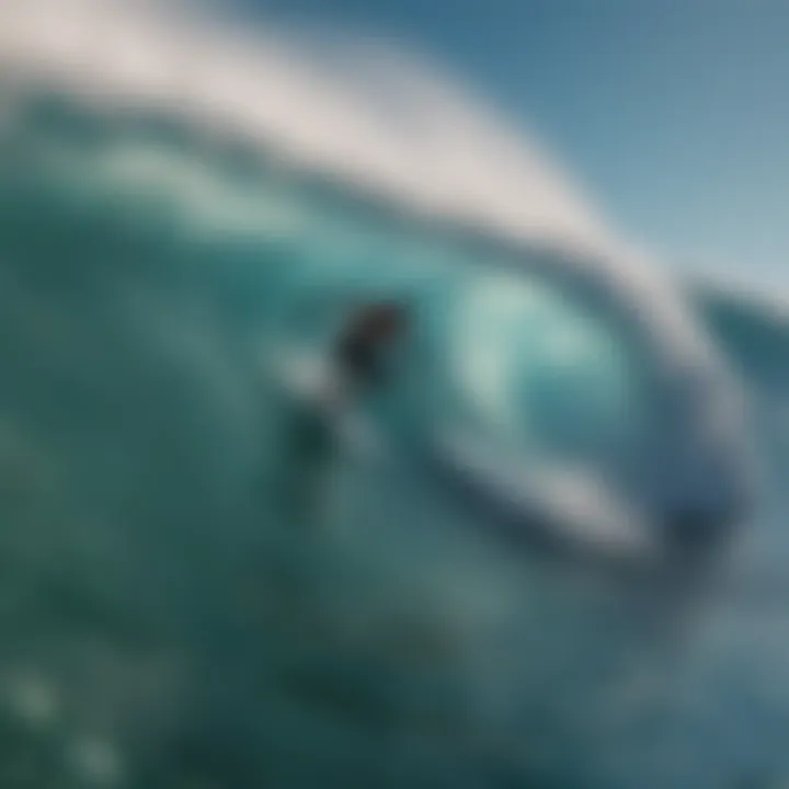 Aerial view of surfers at a Caribbean reef break