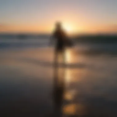 Surfer sunset silhouette on minimalist surf tee