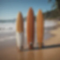 An array of surf longboards displayed on the beach