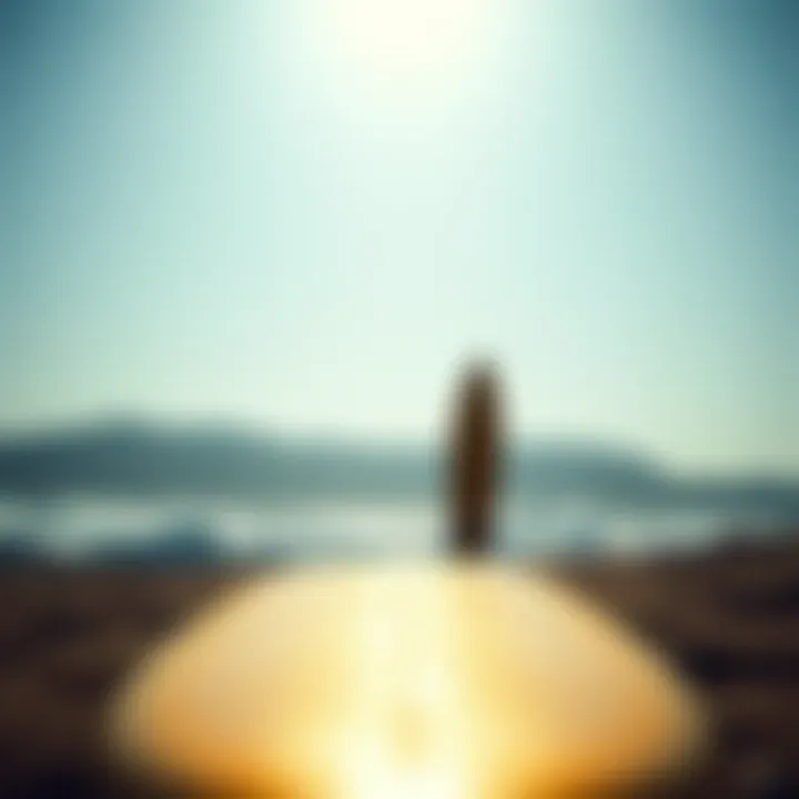 Choosing the Right Longboard Size for Beginners Summary