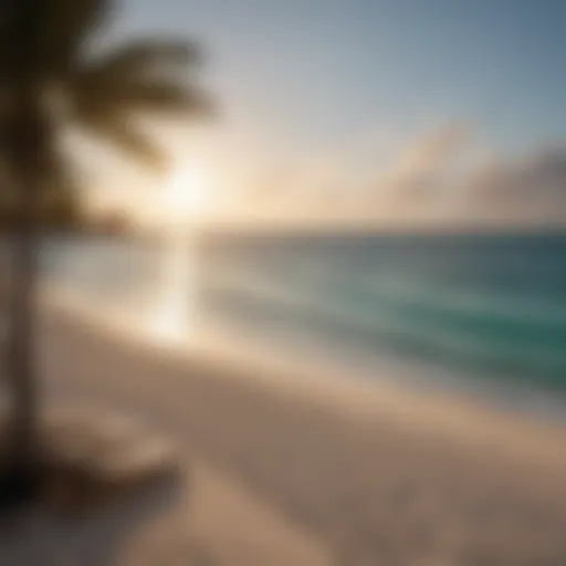 Stunning beachfront view from Marriott Aruba Surf Club