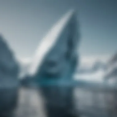 Unique Iceberg Melting