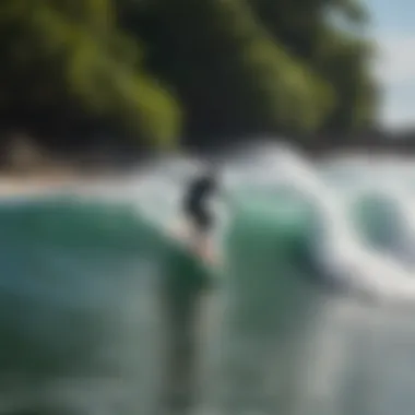 Surfer carving elegant turns on a wave with lush greenery in the background