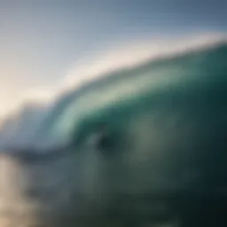 The Power of the Wave