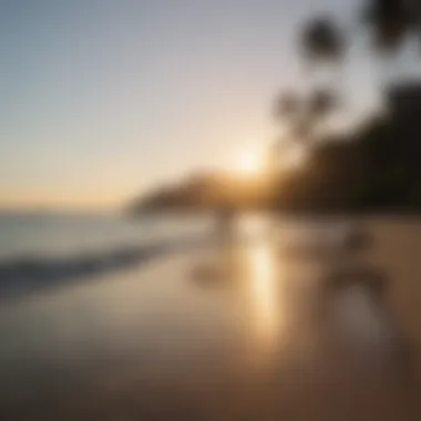 Surfer paddling out to the waves at dawn at Waikiki Beach