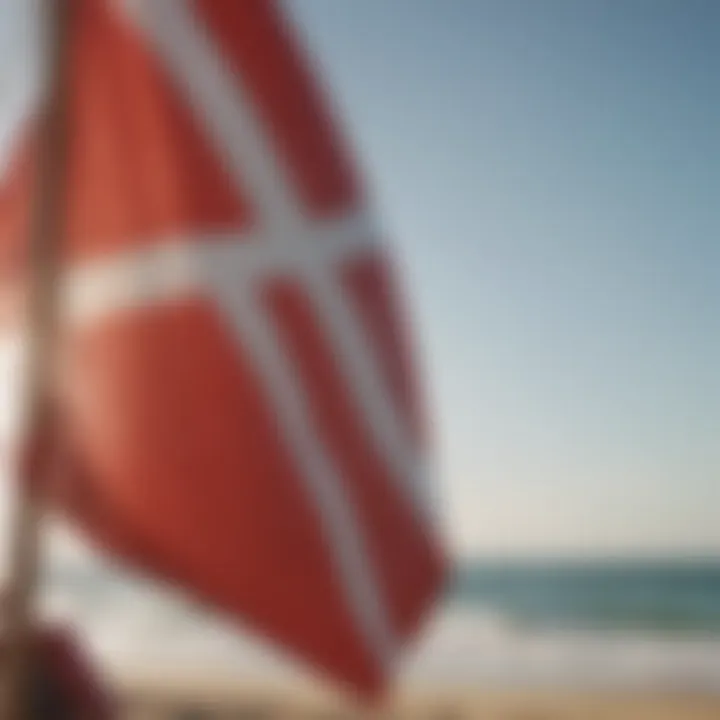 Illustration of a lifeguard flag waving in the wind