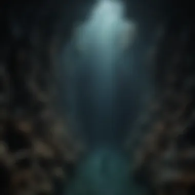 Deep Sea Trenches - Abyssal Beauty