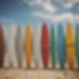 Diverse surfboard types lined up on the beach showcasing their unique shapes and sizes.