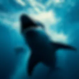 Dolphins and Sharks: An In-Depth Exploration of Marine Intelligence and Ecosystem Dynamics Introduction