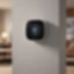 Eco-friendly thermostat in modern living room