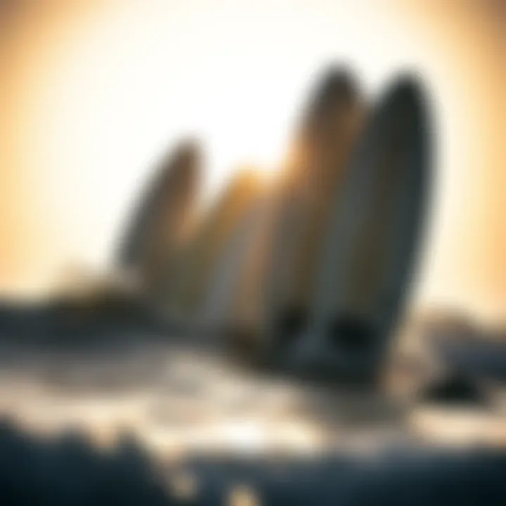 Notable Exploring Album Surfboards: A Comprehensive Guide