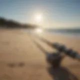 A sleek surf fishing rod propped against a sandy beach backdrop