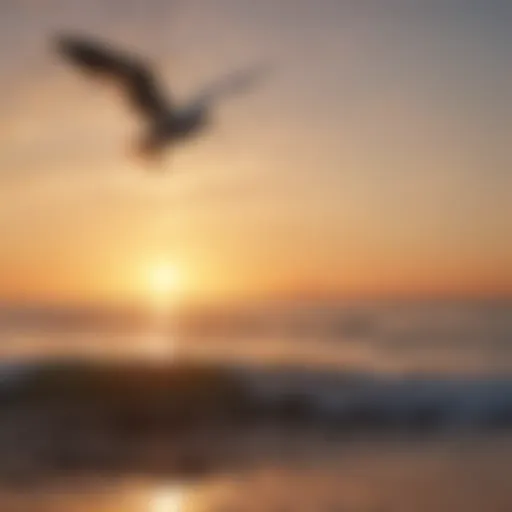 Majestic seagulls soaring over the ocean at sunset