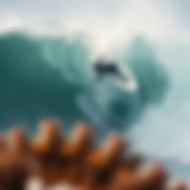 Notable Exploring Coral Cuts: Techniques, Effects, and Environmental Considerations Notable Exploring Coral Cuts: Techniques, Effects, and Environmental Considerations