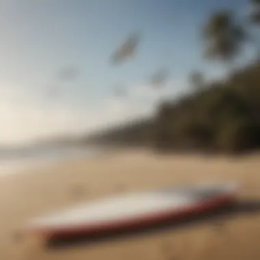 Surfboard on sandy beach with seagulls flying overhead