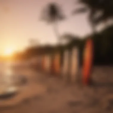 Surfboards lined up on the shore at Sunset Beach