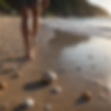 A serene beach scene with scattered seashells