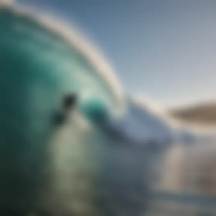 Surfing enthusiasts enjoying the perfect wave