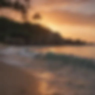 Sayulita's picturesque coastline at sunset