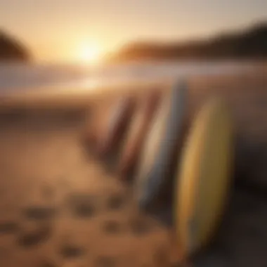 Surfboard lineup on sandy beach at sunset