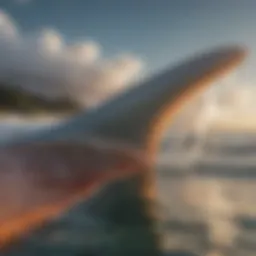 Close-up view of Bataleon Surfer's fin setup