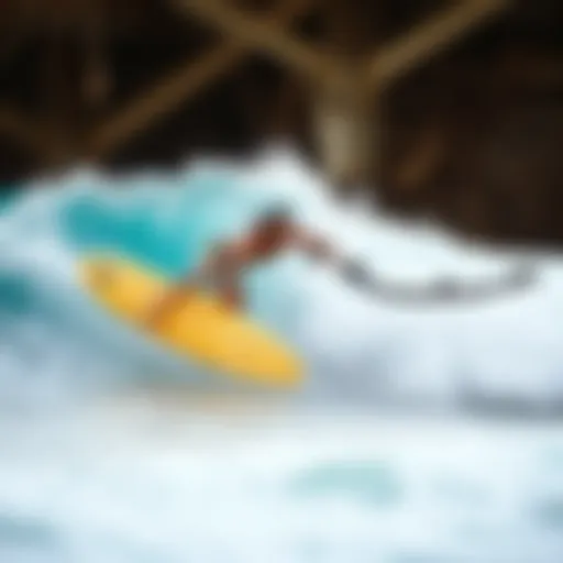 Exploring the Beaches of Puerto Escondido: An In-Depth Analysis Introduction