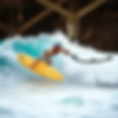 Exploring the Beaches of Puerto Escondido: An In-Depth Analysis Introduction Exploring the Beaches of Puerto Escondido: An In-Depth Analysis Introduction
