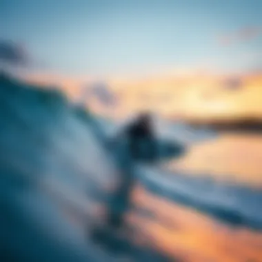 Exploring the Beaches of Puerto Escondido: An In-Depth Analysis Summary Exploring the Beaches of Puerto Escondido: An In-Depth Analysis Summary