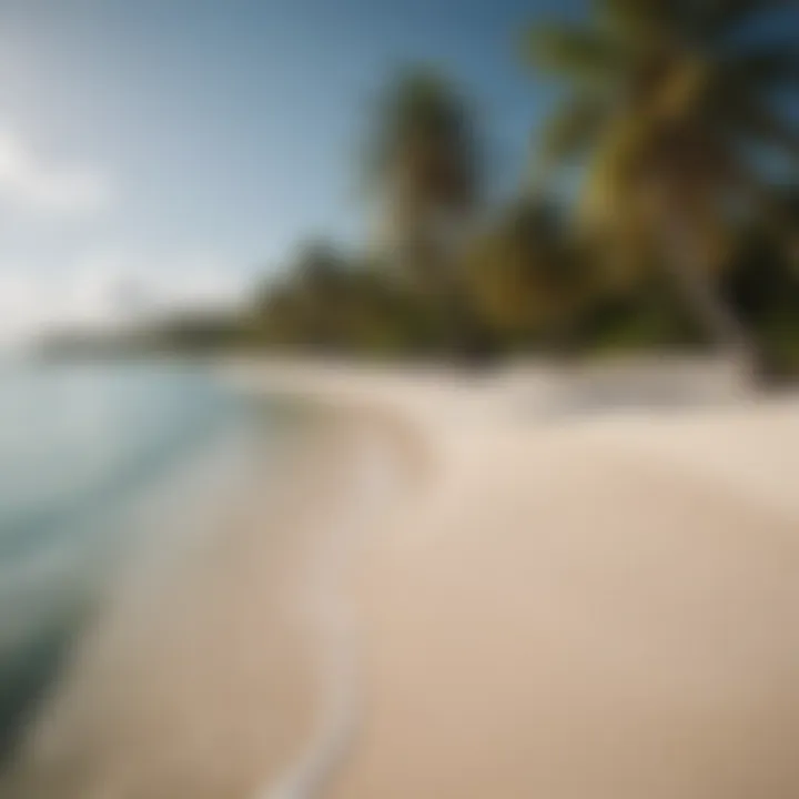 A serene beach scene on a secluded Maldivian atoll with swaying palm trees and soft sand.