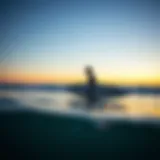 Exploring the Best Surf Beaches in San Diego Introduction Exploring the Best Surf Beaches in San Diego Introduction